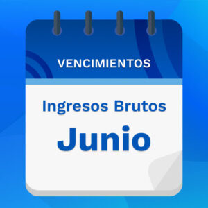 Ingresos brutos Junio